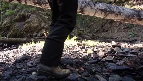 person walking over a log in a forest stream