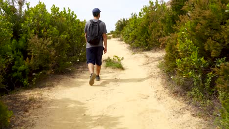 Chico-Con-Mochila-Y-Sombrero-Caminando-Solo-En-La-Montaña,-Caminando-A-Través-De-Arbustos-Verdes-En-Un-Sendero-Estrecho