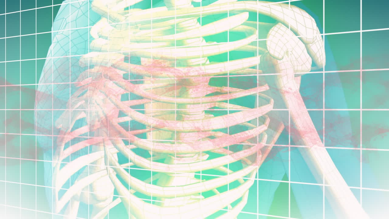 인간 골격의 애니메이션, dna 가닥이 격자 위에 회전합니다.