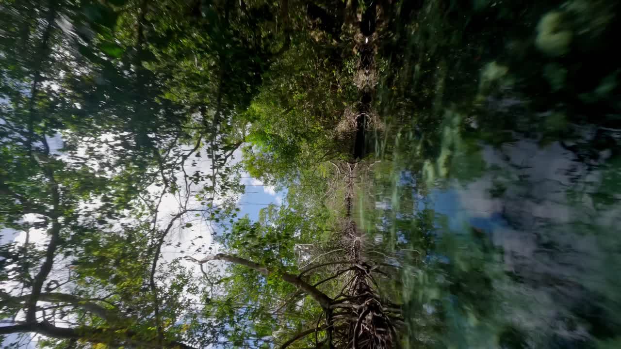 Drone flying at low altitude over transparent and shallow waters of Ca&ntilde;o Frio river in tropical forest, Samana in Dominican Republic