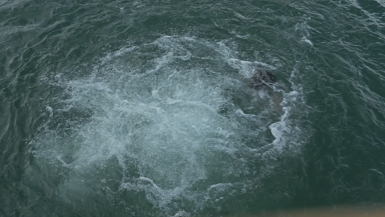 Water Splashes and Ripples