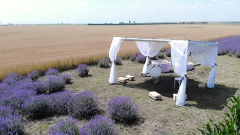 Aerial-View-Of-Tent-With-White-Curtains-And-Chairs-Between-Lavender,-Corn,-And-Wheat-Fields