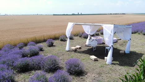 vista aérea de una carpa con cortinas blancas y sillas entre campos de lavanda, maíz y trigo