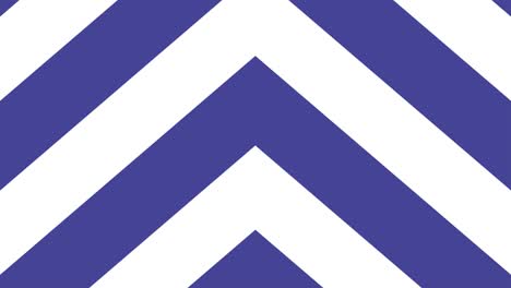 white background with movement in transition. lilac element loop.