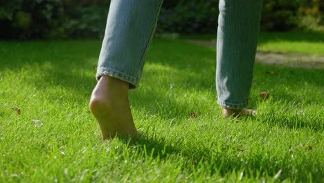 female feet walking on bright green lawn grass, low angle