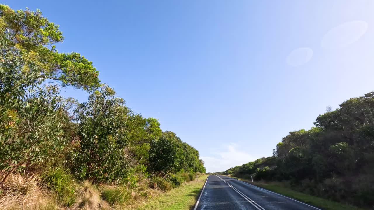 울창 한 초록색 을 가로질러 평화 로운 운전