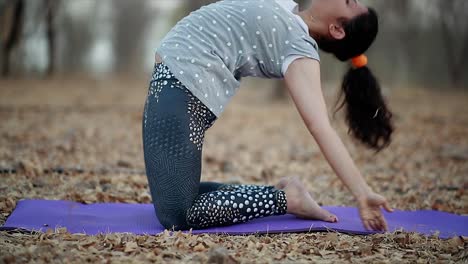 Junge-Frauen-Machen-Yoga,-Yoga-Posen-Vor-Der-Meditation,-Um-Sie-Auf-Das-Sitzen-Vorzubereiten