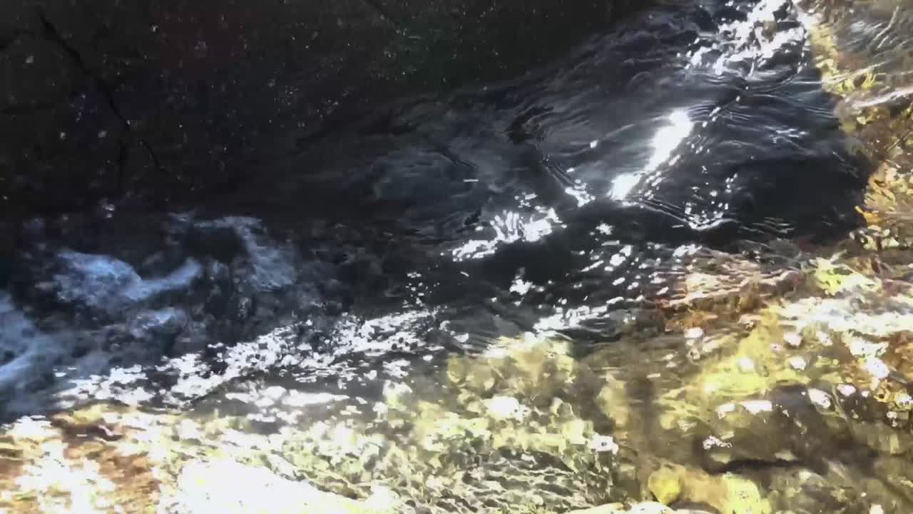 Acqua in movimento