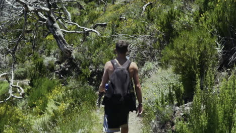 Panning-down-to-hiker-walking-along-PR1-Pico-do-Arieiro---Pico-Ruivo-trail