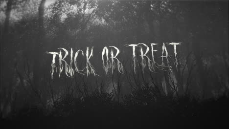 trick or treat with mystical forest in night