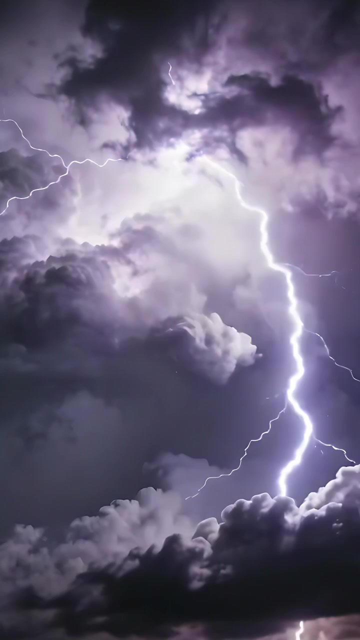 Video verticale: Tempesta in arrivo, fulmine principale che colpisce di notte, illuminando i rami e la parte inferiore delle nuvole.