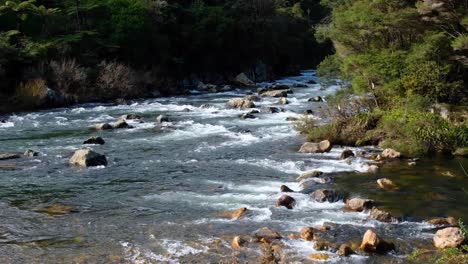 Aguas-Poco-Profundas-Que-Fluyen-Rápidamente-En-El-Río-Ohinemuri-Dentro-Del-Desfiladero-De-Karangahake-En-La-Isla-Norte-De-Nueva-Zelanda-Aotearoa