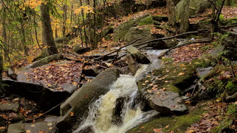 Fließender-Bach-Zwischen-Moosigen-Felsen-In-Einem-Herbstlichen-Laubwald-An-Einem-Kühlen,-Ruhigen-Morgen