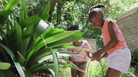 Aufgeregter-Afroamerikanischer-Bruder-Und-Schwester-Auf-Ostereiersuche-Im-Garten,-High-Fiving,-Zeitlupe