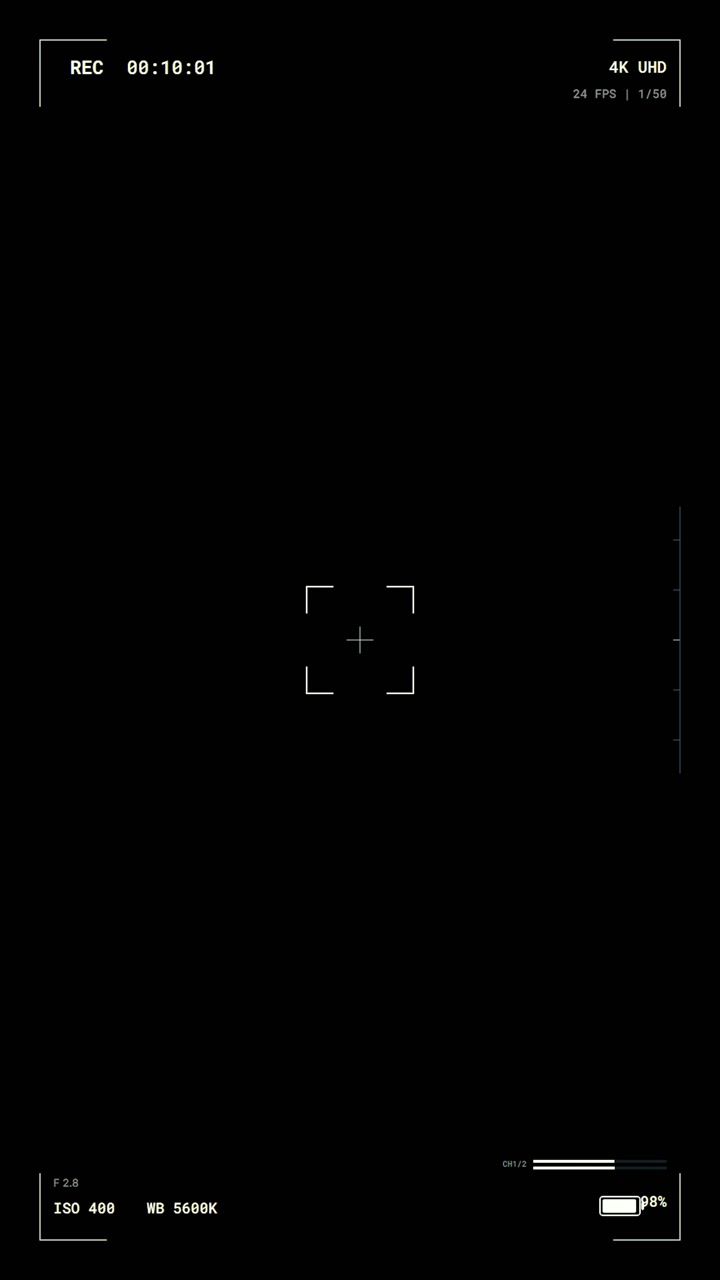 Digital Camera Viewfinder Interface Overlay