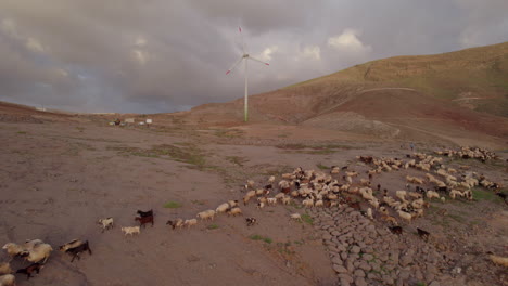 Luftaufnahme-Einer-Herde-Von-Schafen-Und-Ziegen-In-Den-Bergen-Und-Eine-Windmühle-Sind-Zu-Sehen