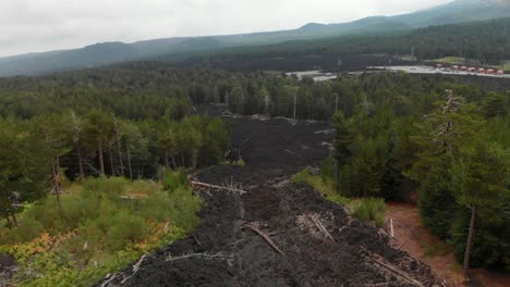 Aéreo:-Drone-Elevándose-Sobre-Un-Valle-De-Rocas-De-Lava-Rodeado-De-Un-Vibrante-Bosque-Verde,-En-El-Monte-Etna,-Sicilia,-En-Un-Día-Brumoso,-Con-La-Cima-Del-Cráter-En-La-Distancia