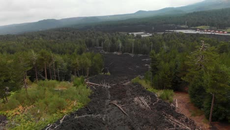 aéreo: avión no tripulado que se eleva sobre un valle de rocas de lava rodeado de un vibrante bosque verde, en el monte etna, sicilia, en un día de niebla, con la parte superior del cráter en la distancia