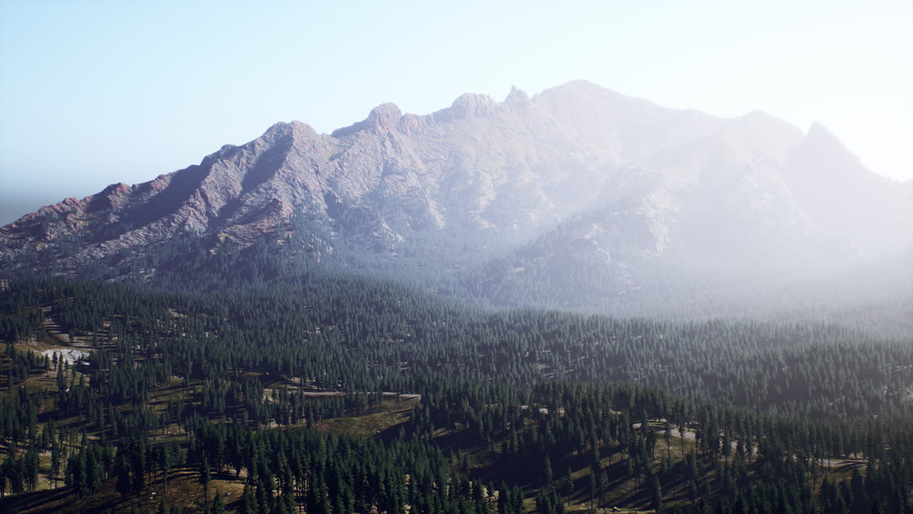 hermosa vista de la montaña con bosque de pinos