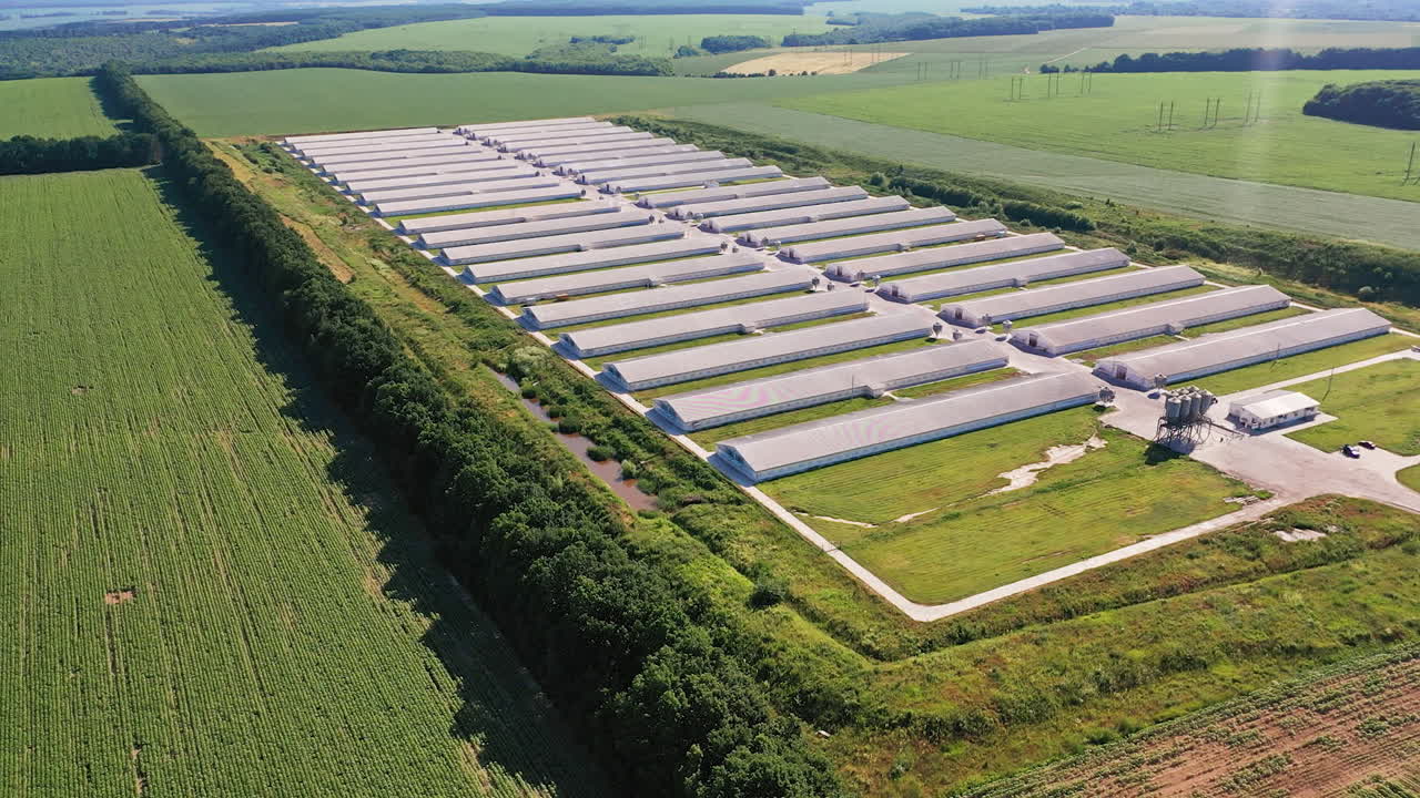 Modern farm locating in the rural farmlands. Long grey barns for keeping and breeding domestic animals. Top view. Agricultural fields backdrop.