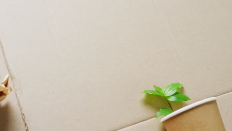 primer plano de basura de papel y taza con planta en fondo de cartón, con espacio para copiar