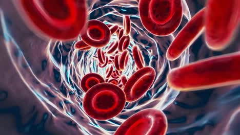 dynamic video of red blood cells flowing through a vein, captured from a tunnel-like angle
