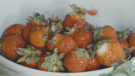 se vierte un aderezo rojizo a cámara lenta sobre un recipiente lleno de fresas, alrededor hay hojas de luigia