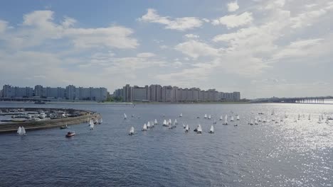 帆船在城市海灣旁邊的橋和夏天的太陽,水上白色的波浪