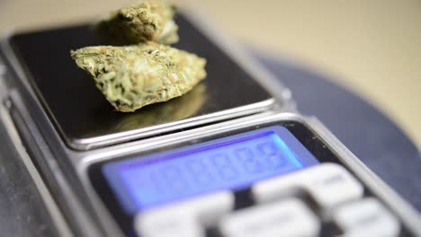 close up rotating shot marijuana flower on a weighing scale