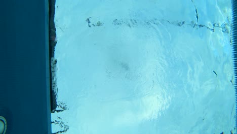 underwater shot of a female swimmer swimming in the lanes across the pool