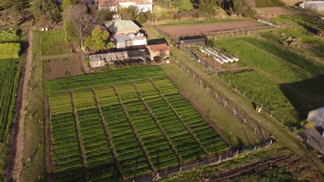 Toma-Aérea-De-Arriba-Hacia-Abajo-De-Una-Casa-De-Campo-Con-Un-Campo-De-Verduras-En-Crecimiento-Al-Atardecer