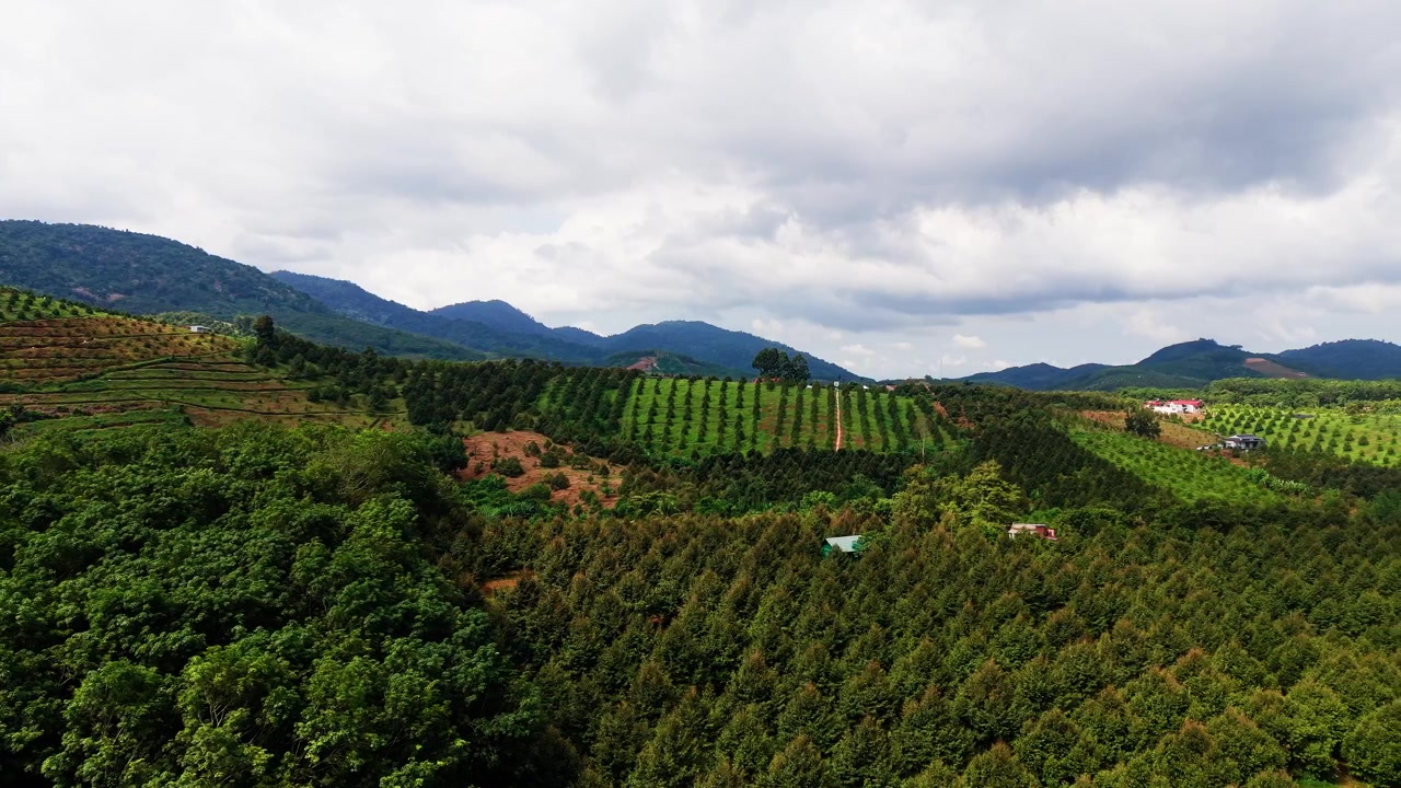 El paisaje de Da Huoai 3 en Lam Dong, Vietnam. Verdes granjas cubren la tierra con montañas al fondo. El cielo tiene nubes y muestra la belleza de la naturaleza.