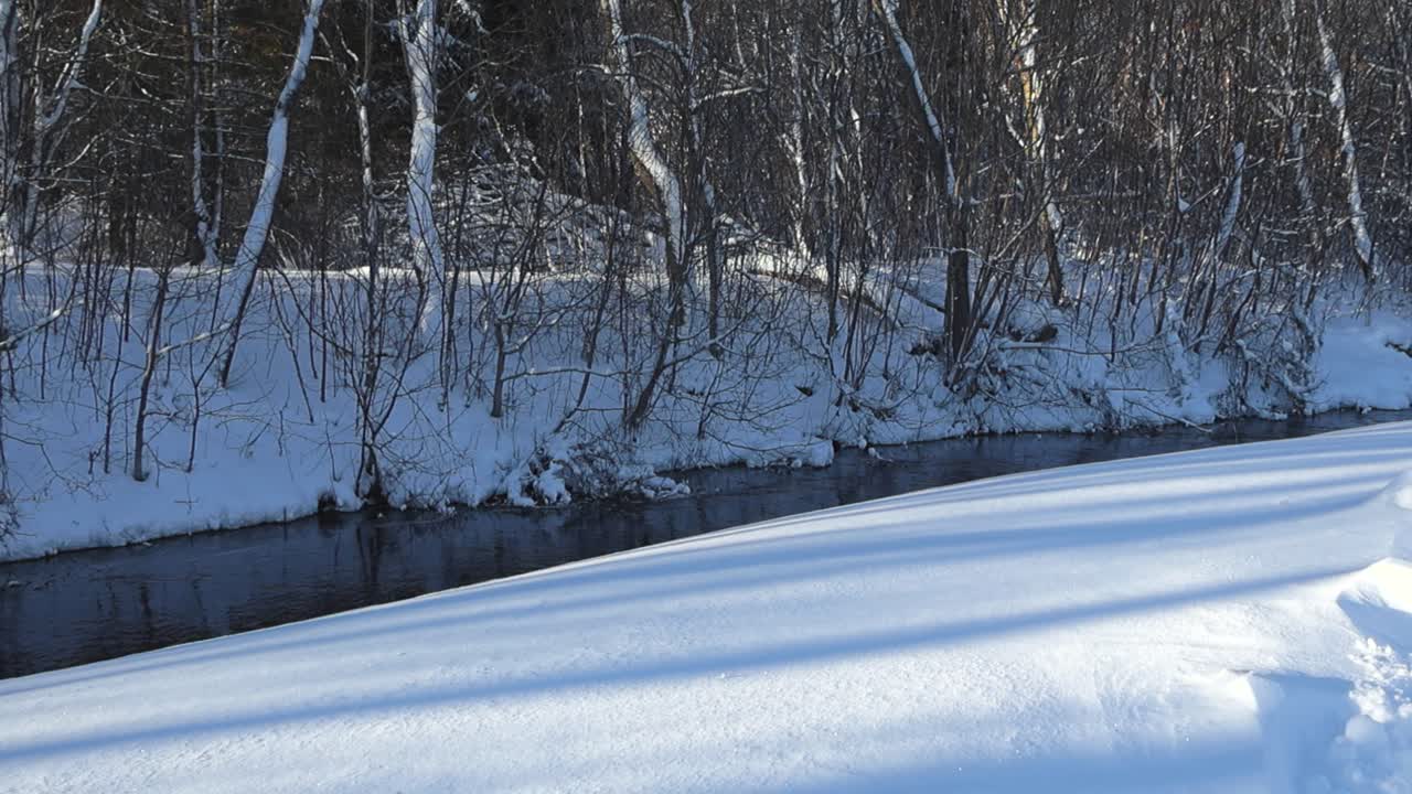 White snow covered river banks that surround a dark black and blue river water flowing through fluffy white snow overed nature during a sunny winter day. Surrounding trees and bushes covered in snow.