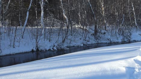 white snow covered river banks that surround a dark black and blue river water flowing through fluffy white snow overed nature during a sunny winter day. surrounding trees and bushes covered in snow.