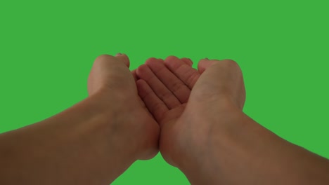 mujer mostrando la palma de las manos abierta sobre la pantalla verde
