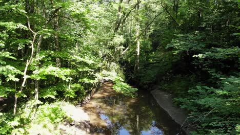 Peaceful-Swedish-stream-in-summertime-forest,-crane-up,-sunny-day