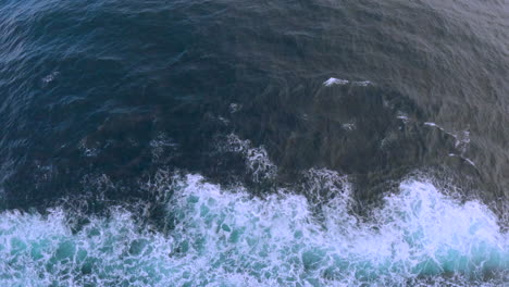 looking over the rail of a ship on an ocean voyage