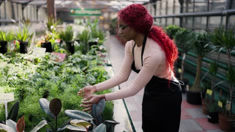 mujer botánica que trabaja en el invernadero, cuidando las plantas