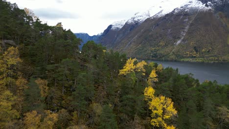 Paso-Elevado-Lento-Sobre-La-Colina-Y-El-Bosque-Que-Revela-La-Hermosa-Eikesdalsvannet-En-El-Municipio-De-Molde-En-Noruega