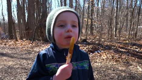 A-little-boy-licking-a-maple-syrup-treat-off-a-stick-at-a-sugar-bush-festival