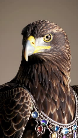 regal eagle adorned with jewels