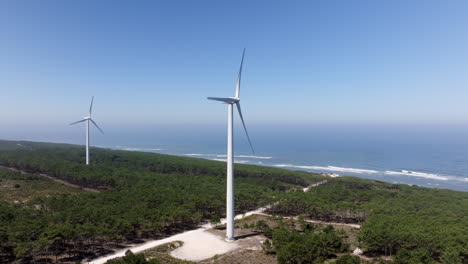 coastal wind farm with pine forest