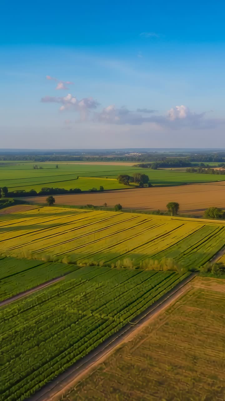 Vertical video: Drone starting forward glide over fields to reveal crop lines, dirt track hedgerows