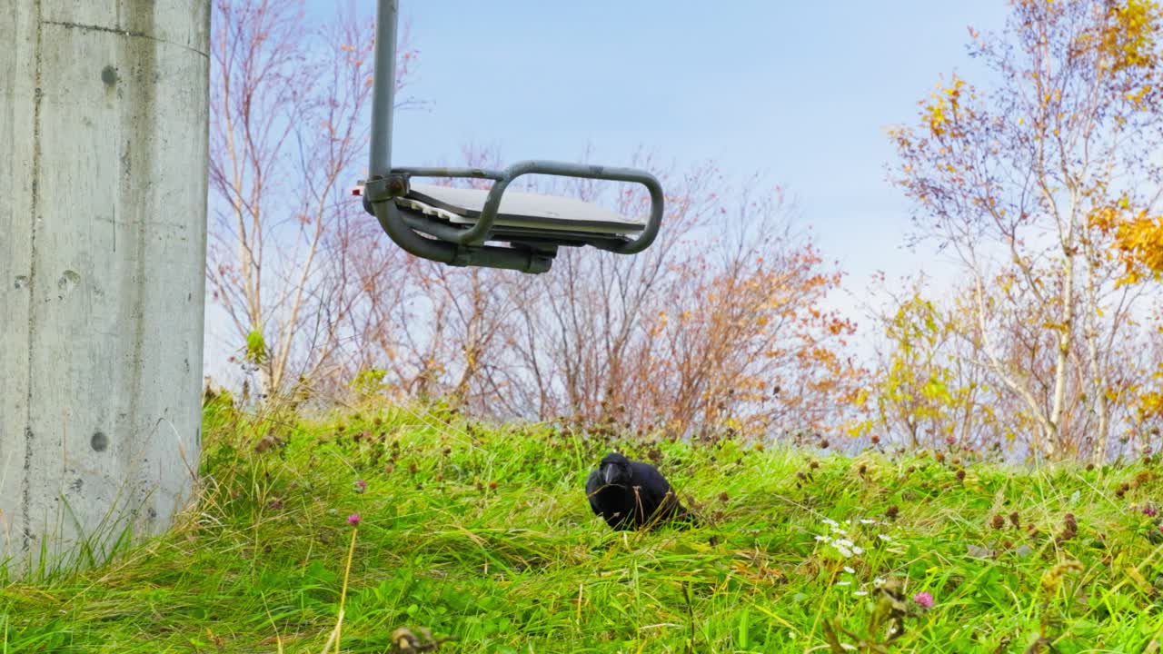 오타루 최고의 뷰