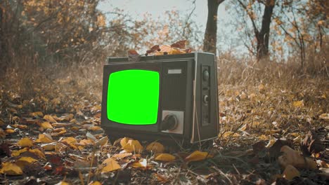 vintage television set with green screen