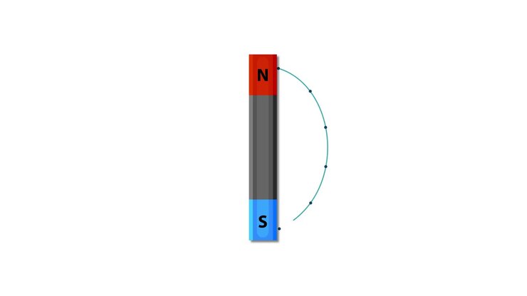 Compass needle aligns with magnetic field lines