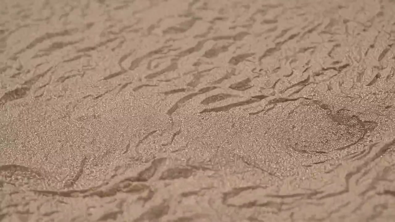 Close-up of Water Ripples Flowing Over Wet Sand