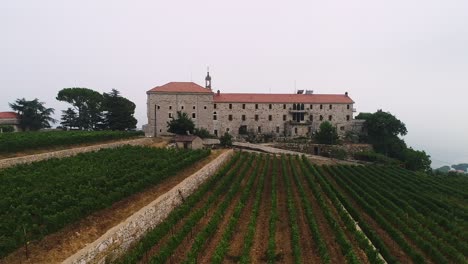 Pintoresca-Colina-De-Viñedos-Libaneses-Por-El-Monasterio-De-Batroun,-Día-Brumoso,-Vista-Aérea-De-Drones,-Pan-A-La-Derecha