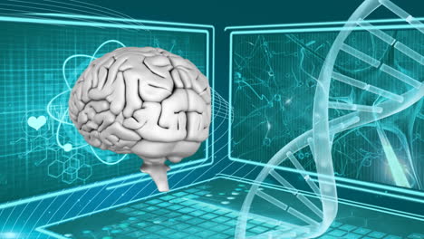 cerebro humano y adn
