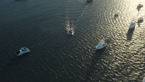 el sol dorado se refleja mientras un pequeño bote navega entre barcos pesqueros anclados, punta cana, panorámica aérea hacia abajo